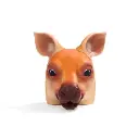 Kangaroo